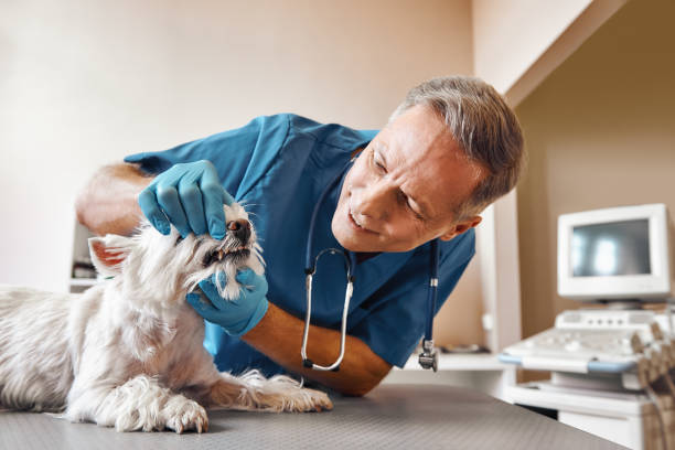 Best Pediatric Emergency Dentist in Indian Wells, CA